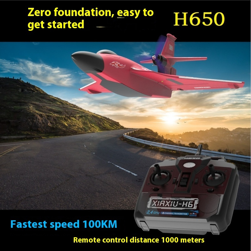 H650 Large RC Plane Fixed Wing - Rc Glider Foam Wing บทวิจารณ์และราคา