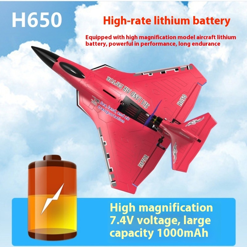 H650 Big Size Rc Plane Water P - Rc Glider Foam Wing บทวิจารณ์และราคา